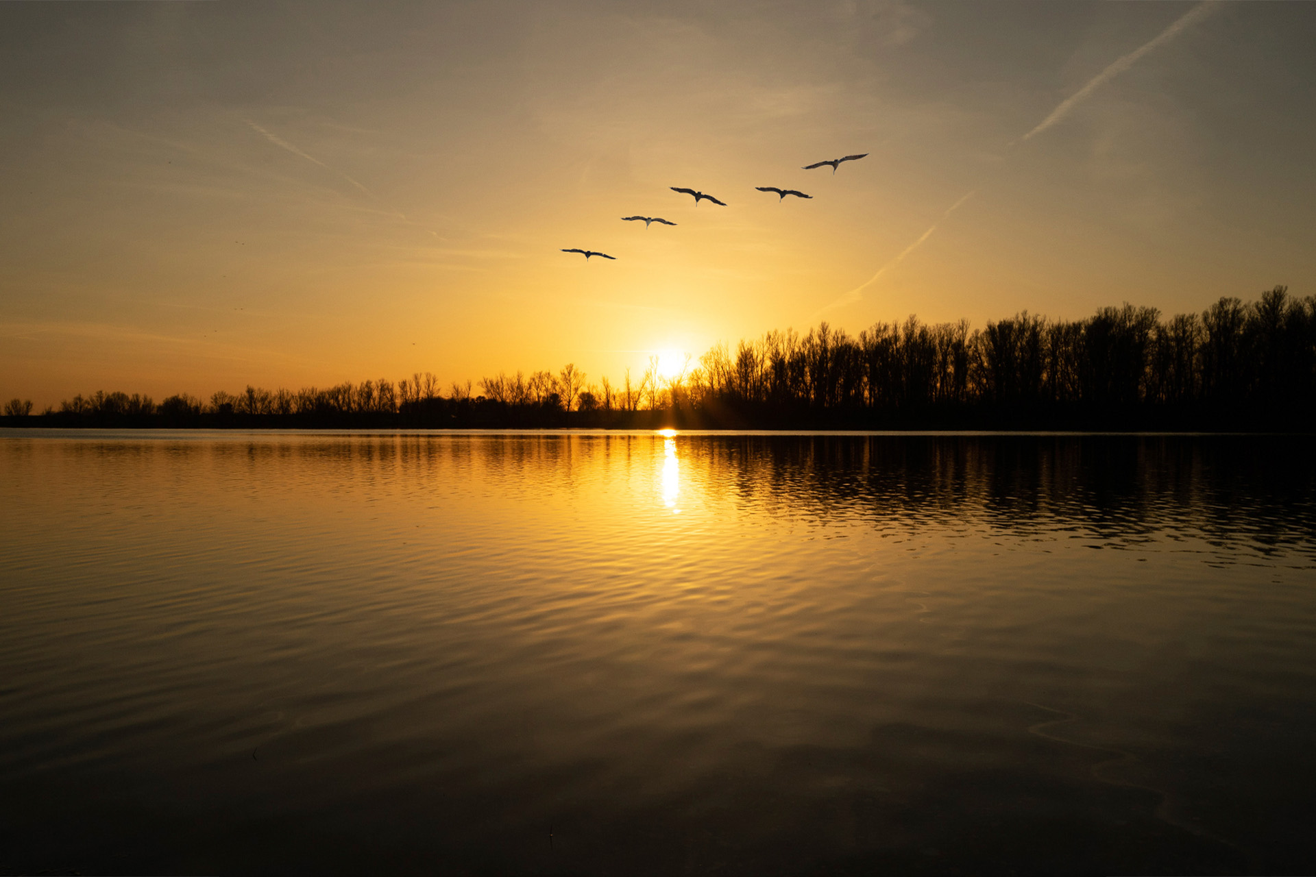 landschap foto gemaakt met een 50mm lens