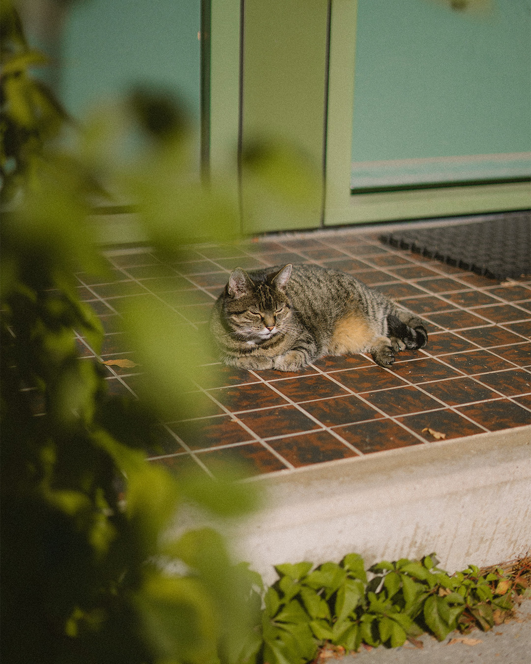 straatfoto gemaakt met een 50mm objectief