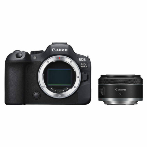 Canon EOS R6 Mark II + RF 50mm f/1.8 STM