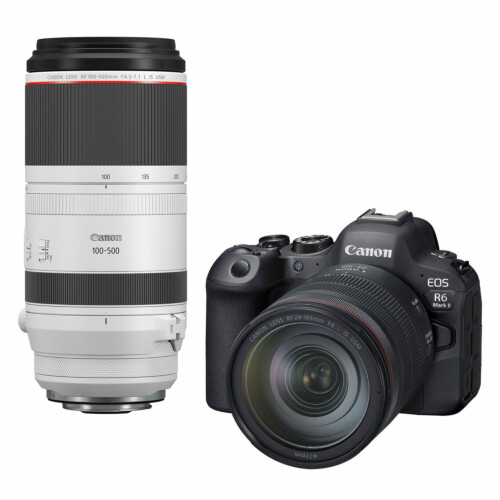 Canon EOS R6 Mark II + RF 24-105mm f/4.0 L IS USM + RF 100-500mm f/4.5-7.1 L IS USM