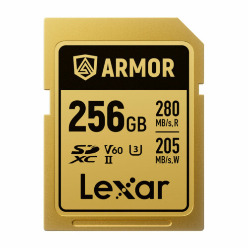 Lexar SDXC Pro ARMOR GOLD - 256 GB