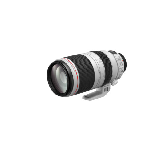 Canon EF 100-400mm F4.5-5.6 L IS II USM