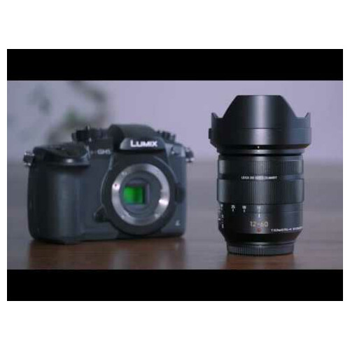 Panasonic Leica DG Vario Elmarit 12-60mm f/2.8-4.0 Asph