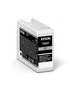 Epson T46S7 UltraChrome Pro 10 inktpatroon | Grijs