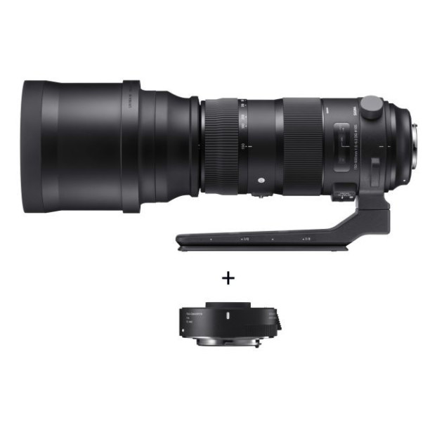 Sigma 150-600mm f/5.0-6.3 DG OS HSM Sports + 1.4x teleconverter| Nikon F (FX)