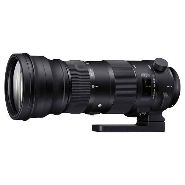 Sigma 150-600mm f/5.0-6.3 DG OS HSM Sports | Nikon F (FX)