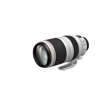 Canon EF 100-400mm F4.5-5.6 L IS II USM