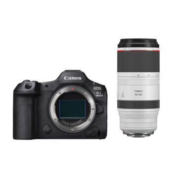 Canon EOS R5 II + RF 100-500mm f4.5-7.1 L IS USM