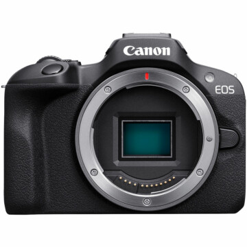 Canon EOS R100 + Sigma 16-300mm f/3.5-6.7
