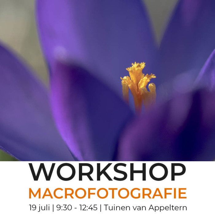 workshop macrofotografie